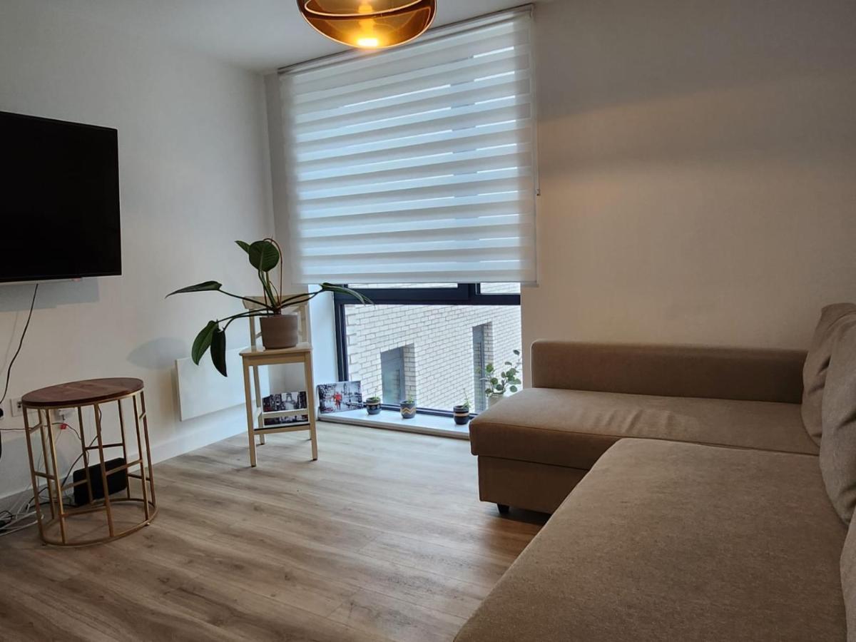 Lovely Luxury Apartment Near Luton Airport 801 エクステリア 写真